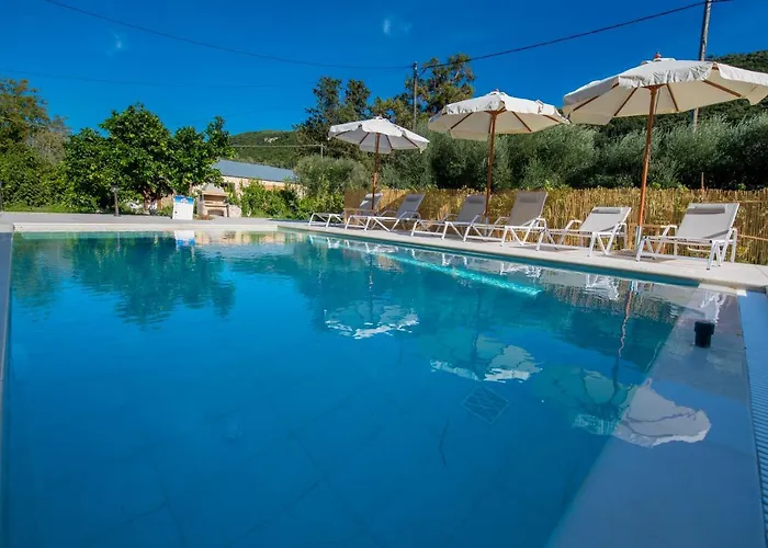 Kampos * 瓦西利基